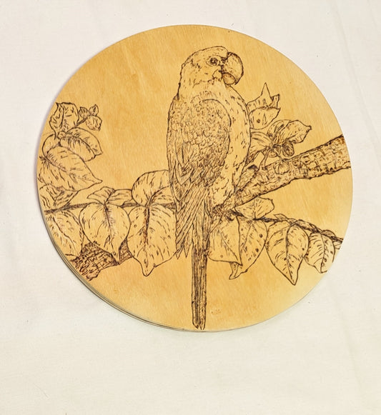 Art Pyrography "Macaw" on Round Wood with Credits Rare Bird.