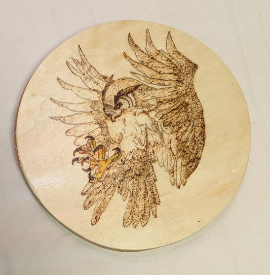 Art Pyrography on round Wood " Hawk Crashing" Colored Claws Thick Plywood backer