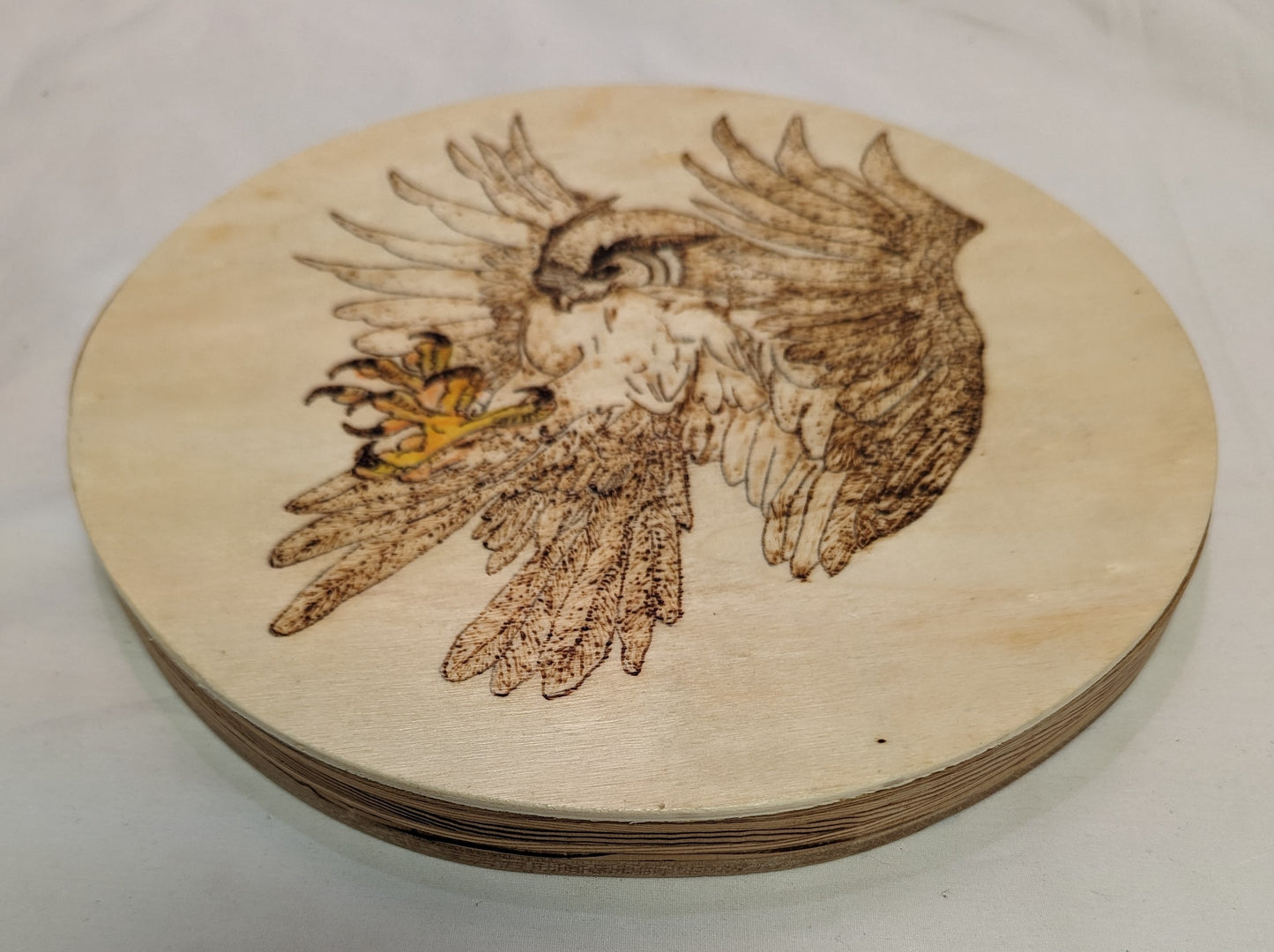 Art Pyrography on round Wood " Hawk Crashing" Colored Claws Thick Plywood backer