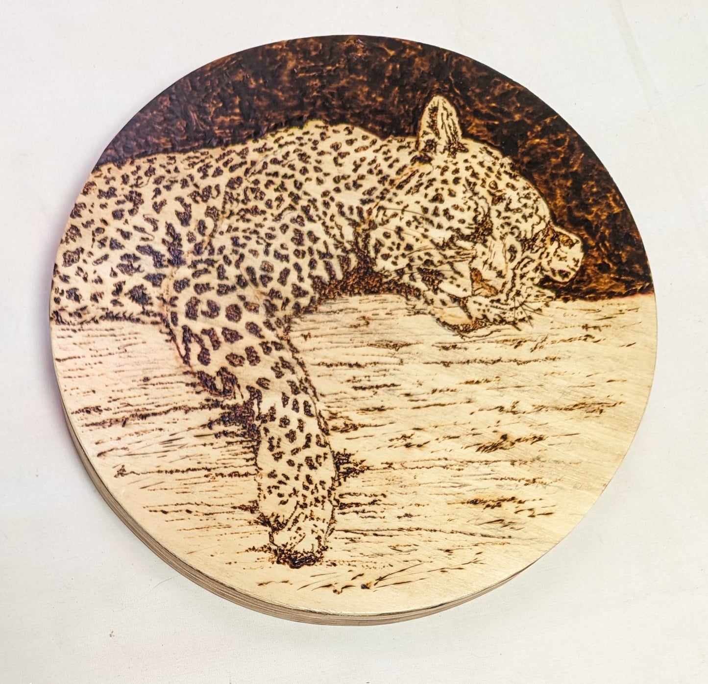 Art Pyrography on Heavy Recycled Round Plywood " Sleeping Leopard "
