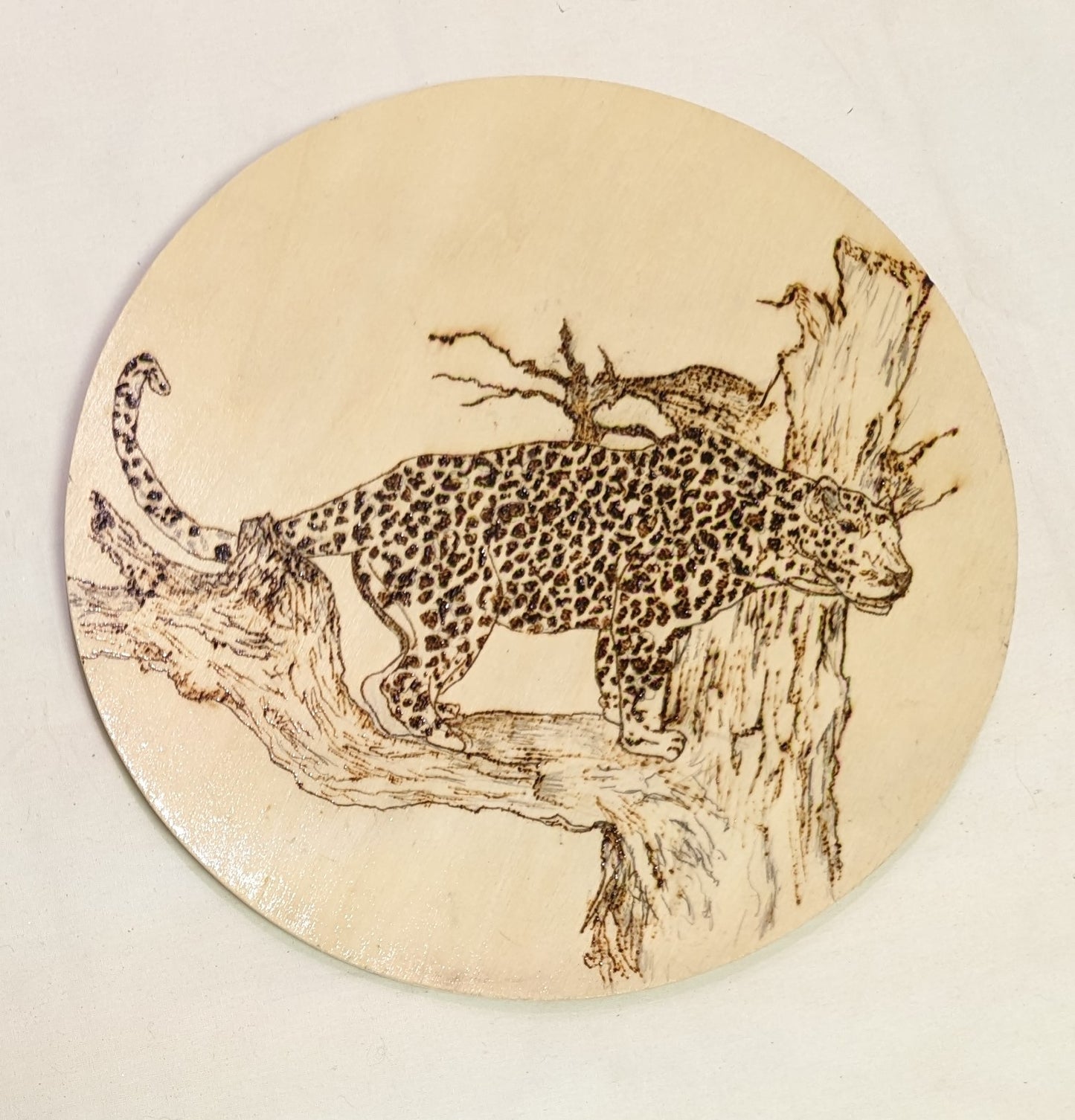 Art Pyrography on Round Plywood Leopard in a Tree