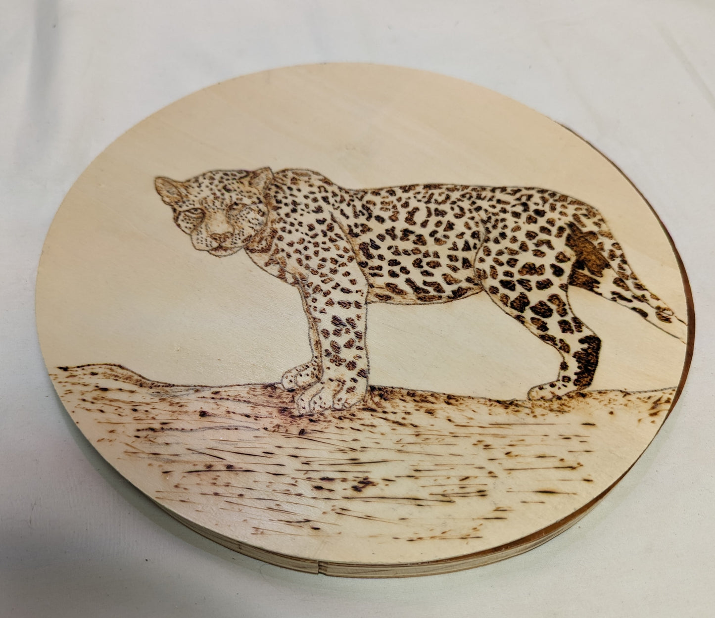 Art Pyrography on Round Plywood Leopard on limb