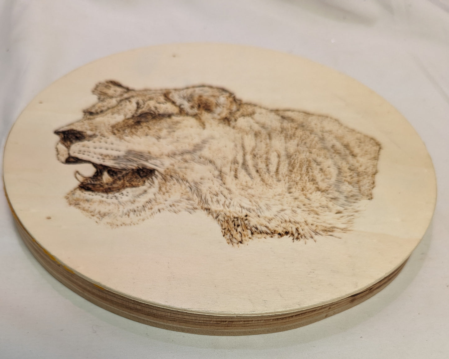 Art Pyrography on Round plywood Lion Head