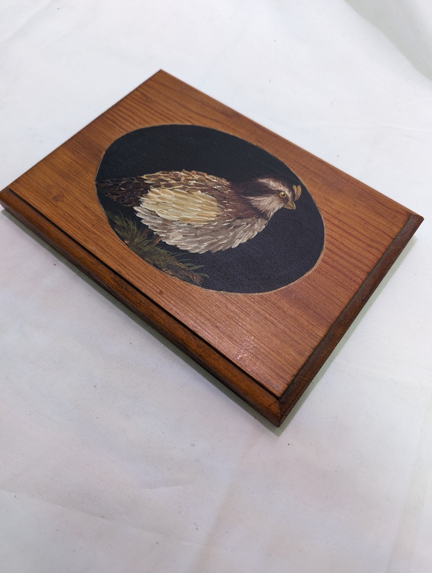 Art Painting by Hand Quail Silhoutte "Bob White on wood