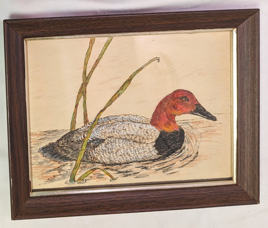 Art Pyrography  on wood Colored "Male Redhead Duck on water" in frame under glass