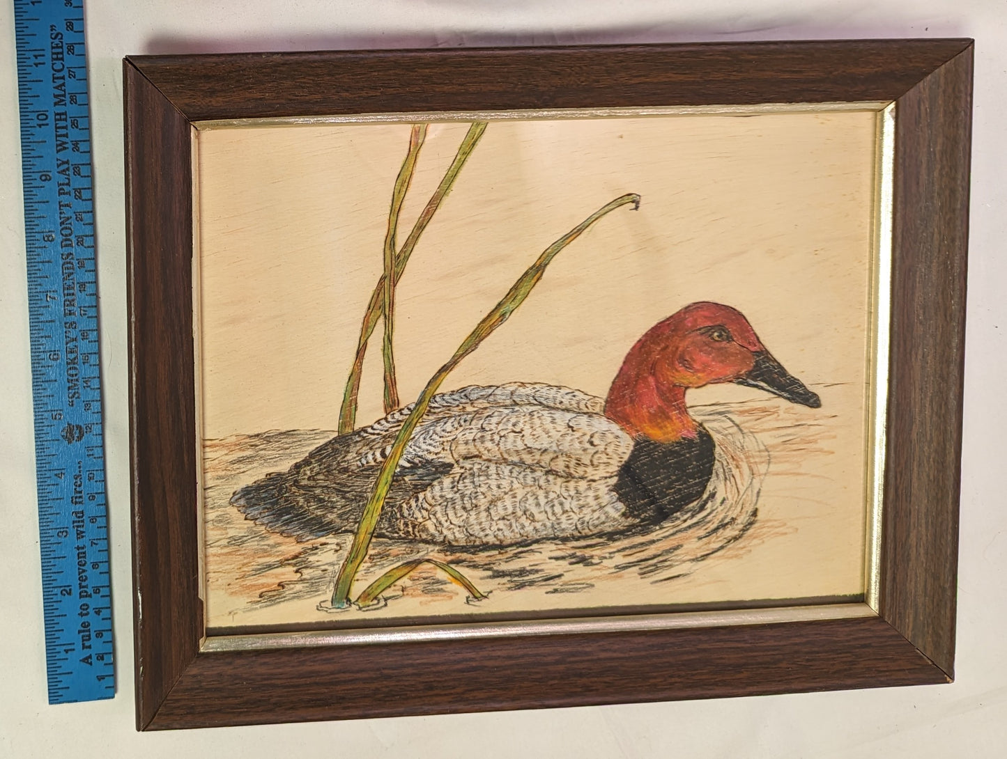 Art Pyrography  on wood Colored "Male Redhead Duck on water" in frame under glass