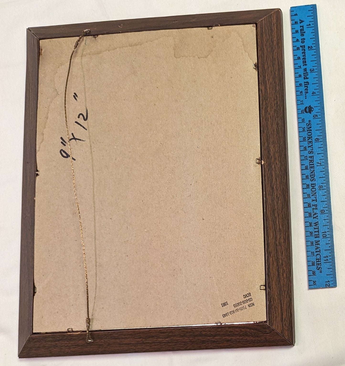 Art Pyrography  on wood Colored "Male Redhead Duck on water" in frame under glass