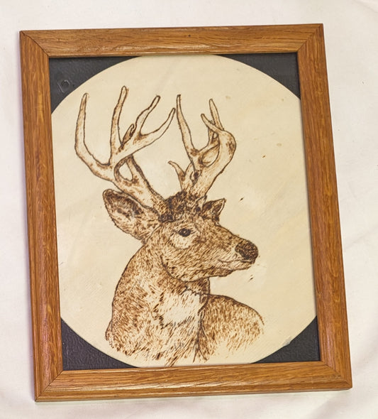 Art Pyrography on round wood Buck Head in Frame under glass