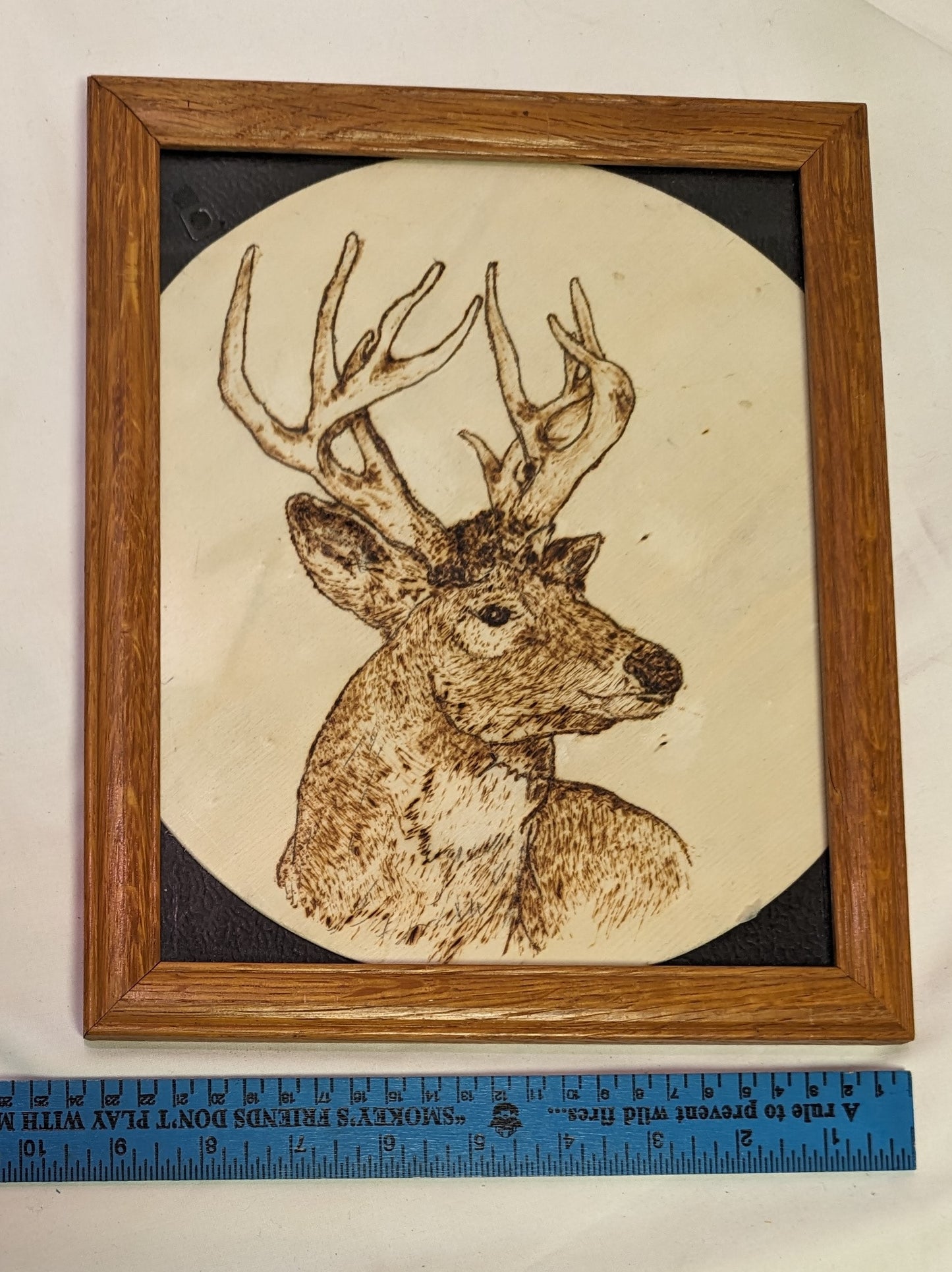 Art Pyrography on round wood Buck Head in Frame under glass