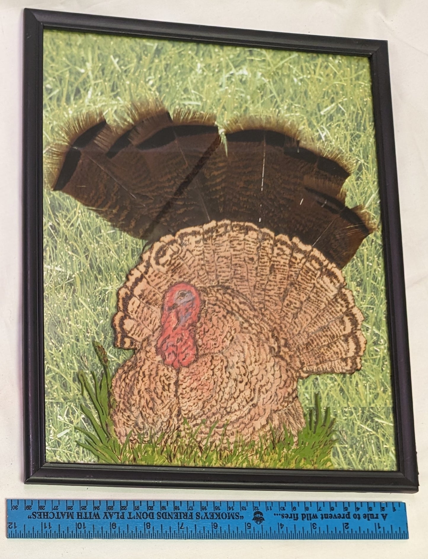 Art Mixed media Turkey in Grass " In frame under glass