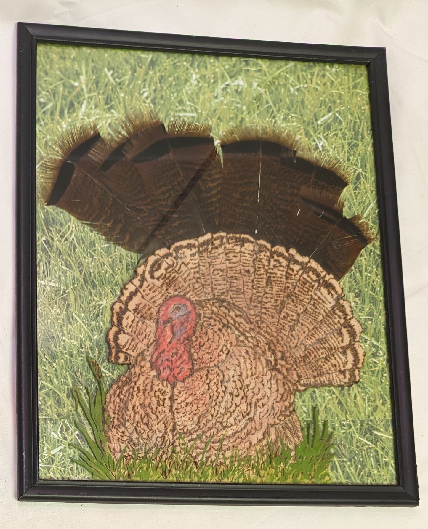 Art Mixed media Turkey in Grass " In frame under glass