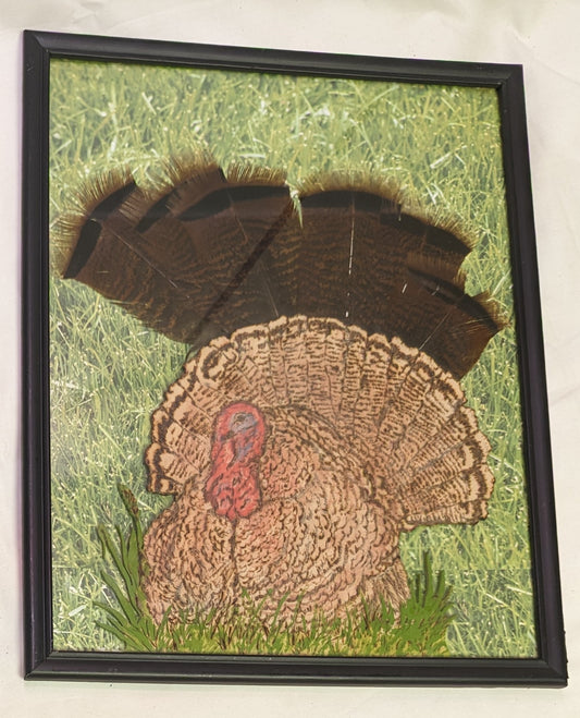 Art Mixed media Turkey in Grass " In frame under glass