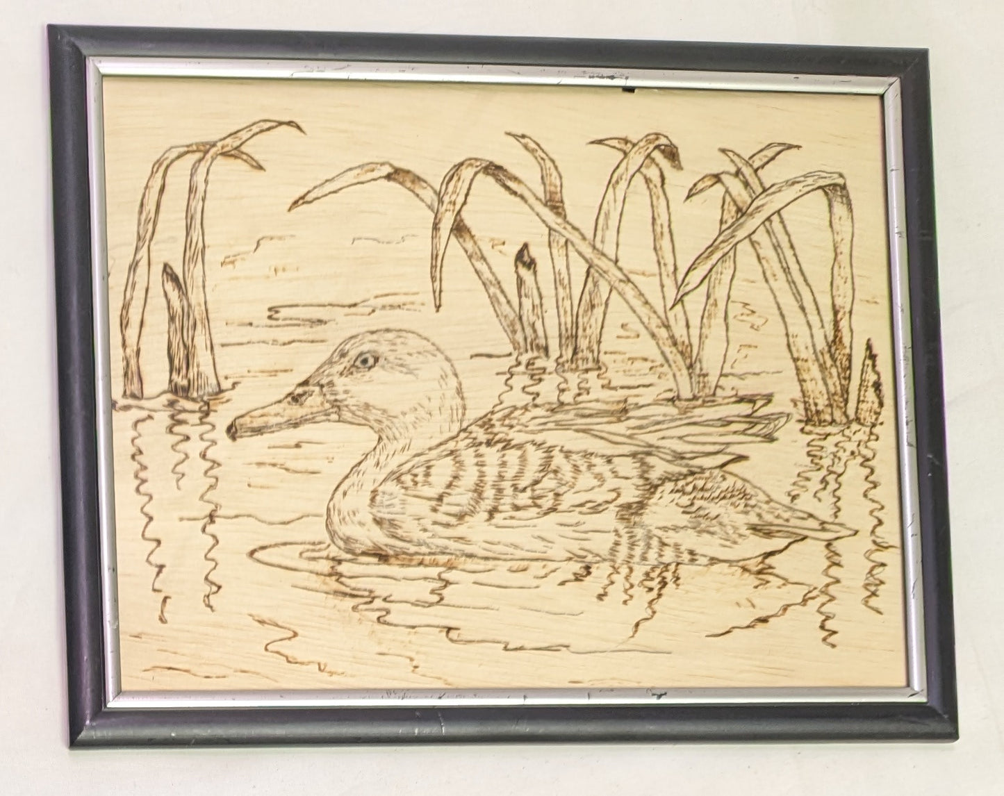 Art Pyrography on wood  "Duck Swimming" in frame under glass