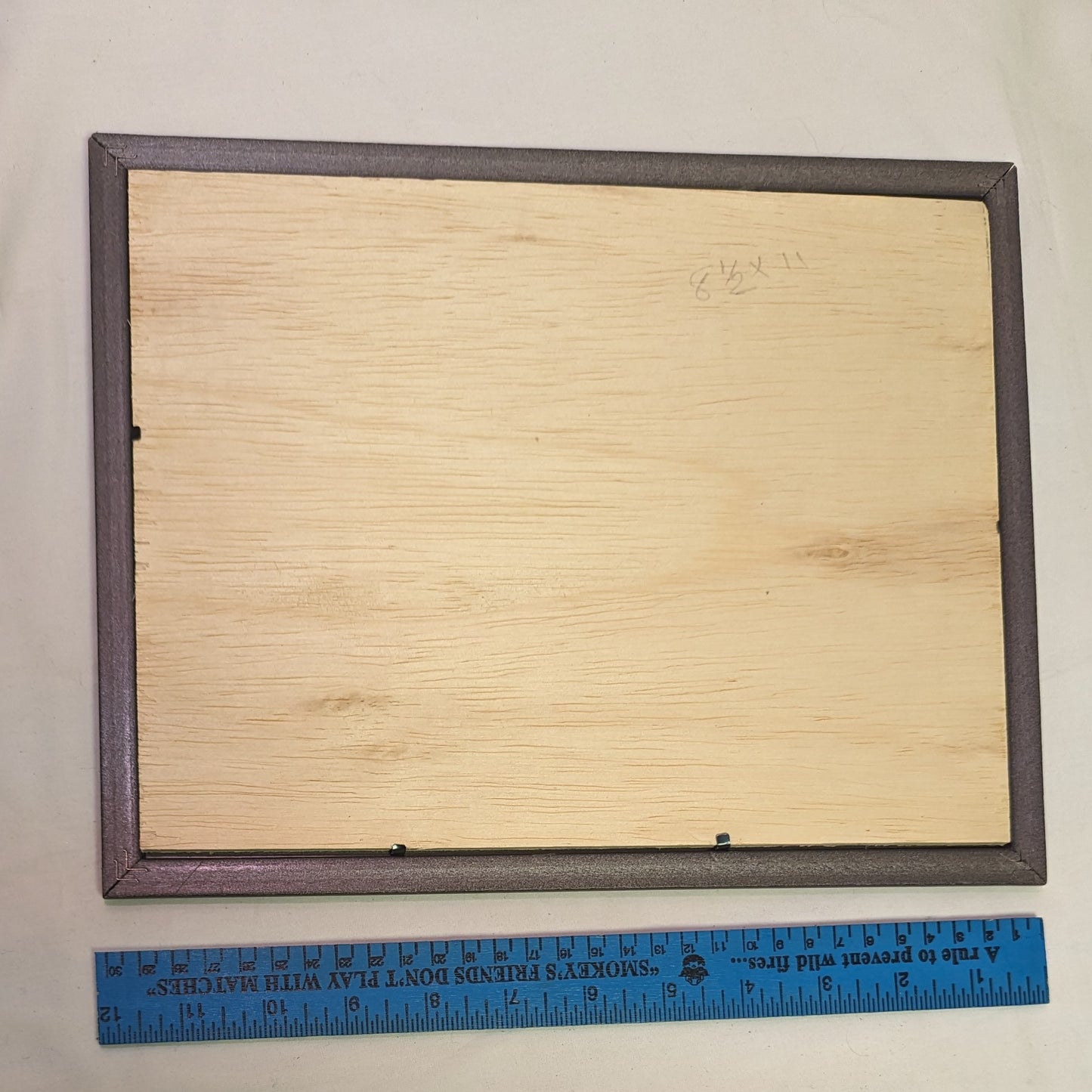 Art Pyrography on wood  "Duck Swimming" in frame under glass