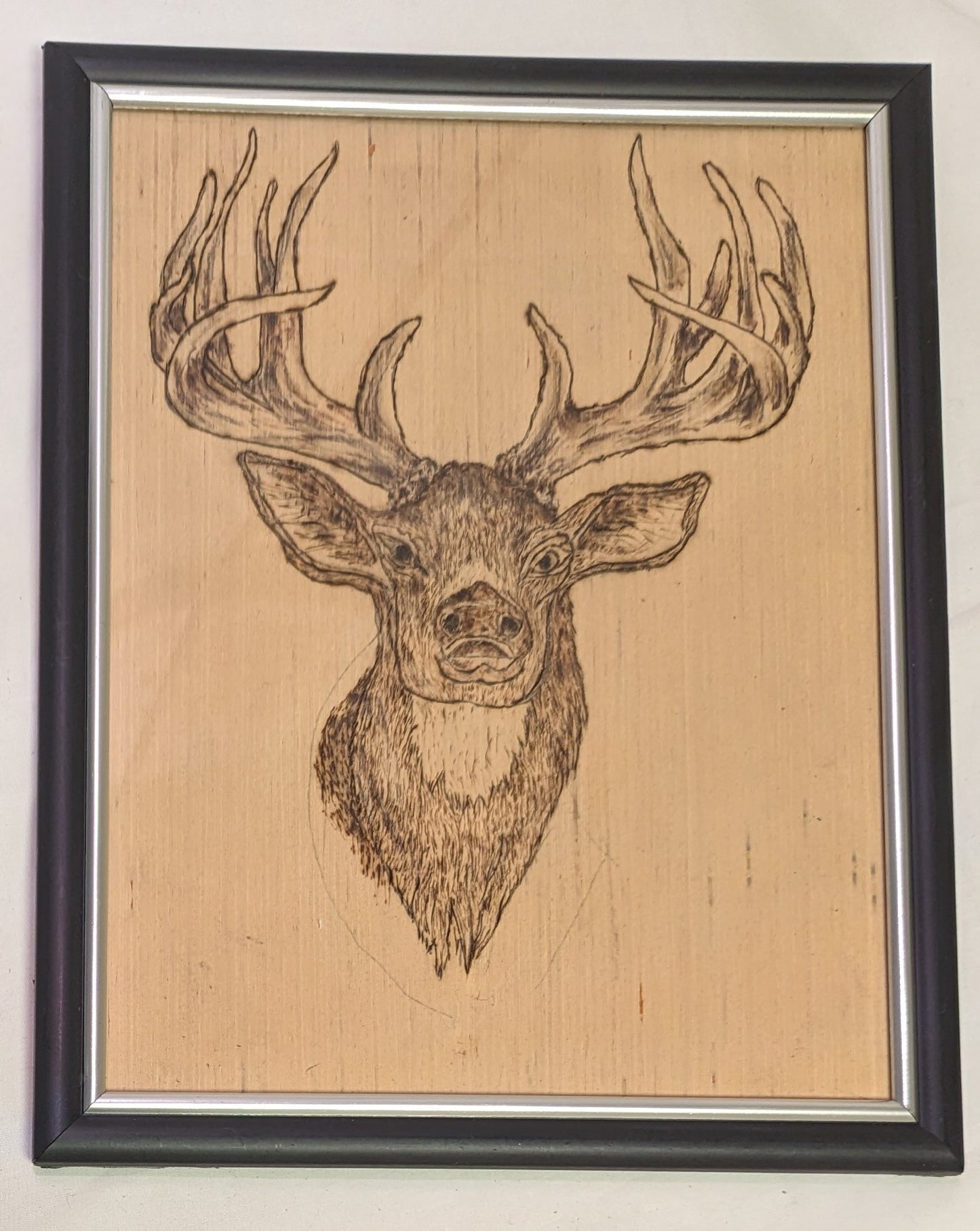 Art Pyrography on wood Buck Mount in frame under glass