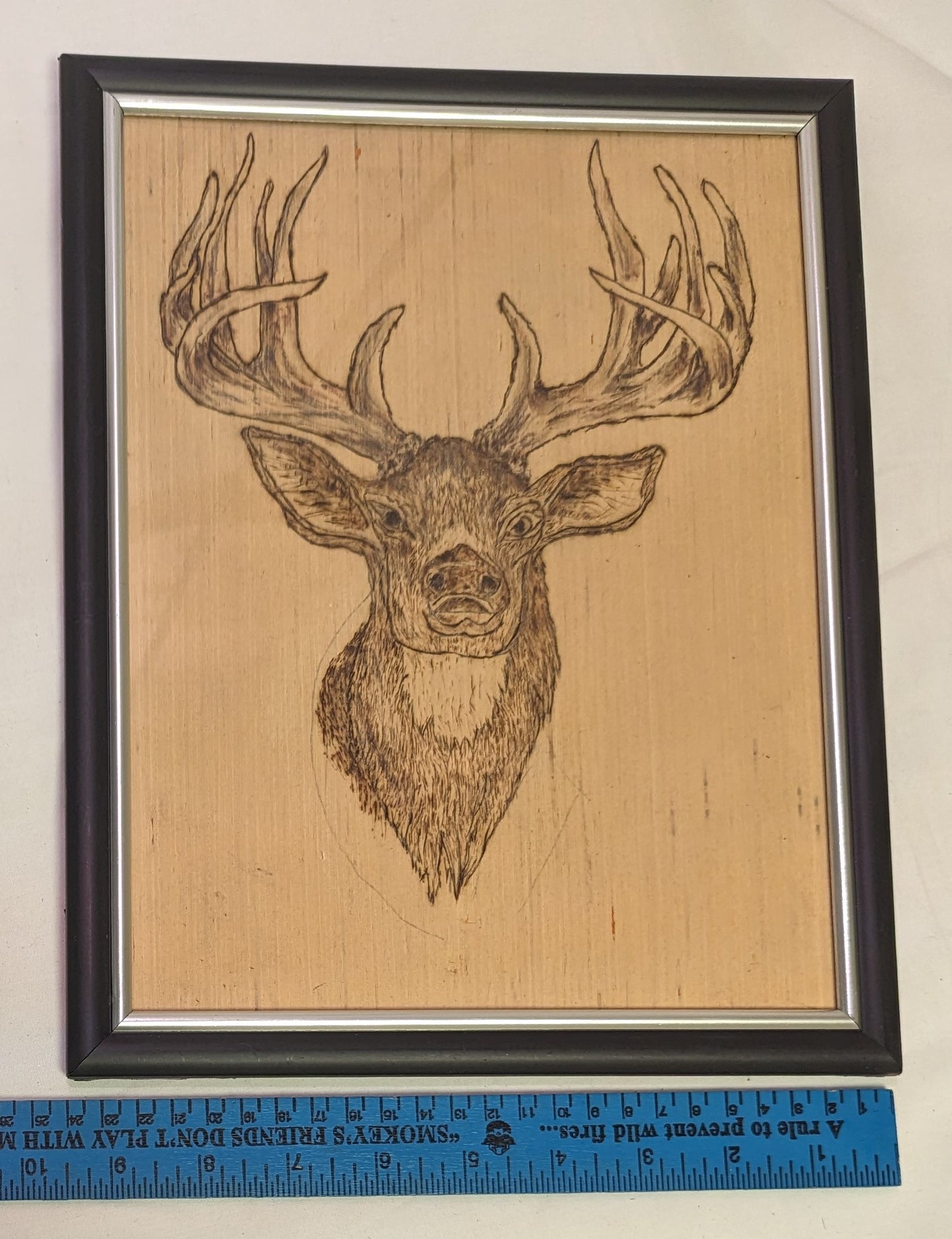Art Pyrography on wood Buck Mount in frame under glass