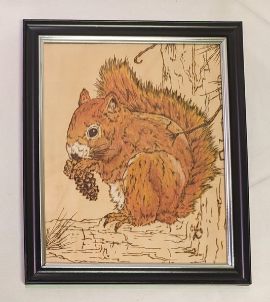 Art Pyrography on colored wood Red Squirrel with pine cone in frame under glass