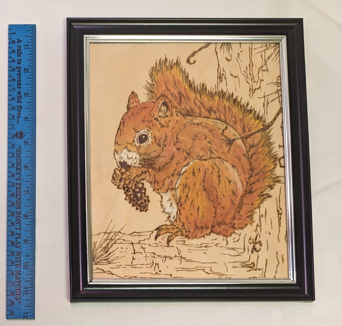 Art Pyrography on colored wood Red Squirrel with pine cone in frame under glass