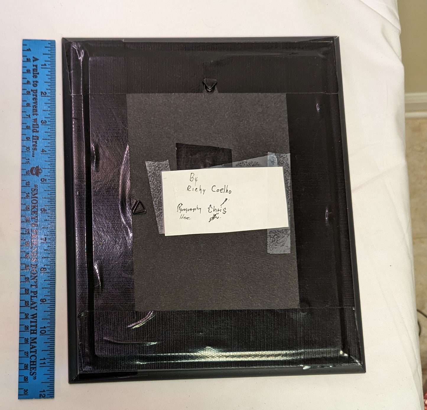 Art Pyrography on wood Maccaws on branch " in frame under glass