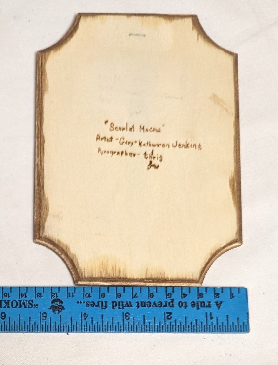 Art Hand Pyrography on wood "Scarlet Macaw"  Credited Work