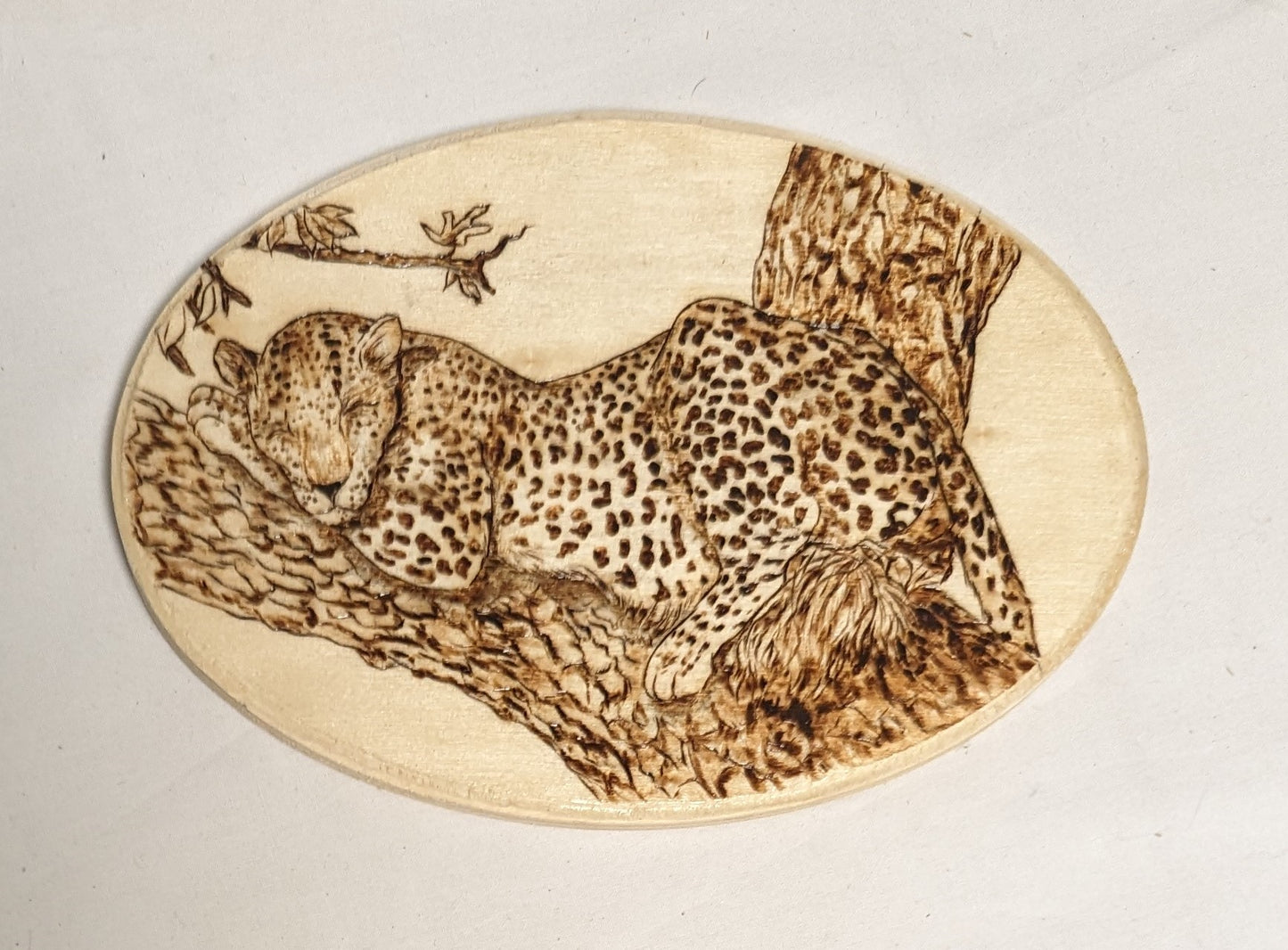 Art Hand Pyrography on wood "Leopard Snoozing" Credited and autographed