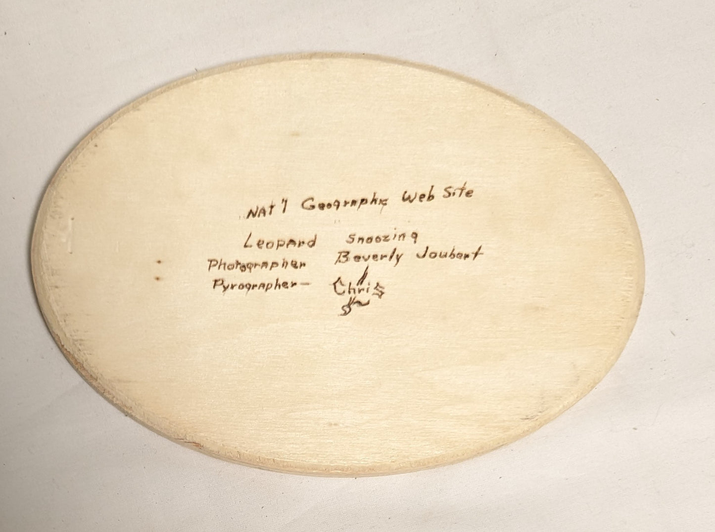 Art Hand Pyrography on wood "Leopard Snoozing" Credited and autographed