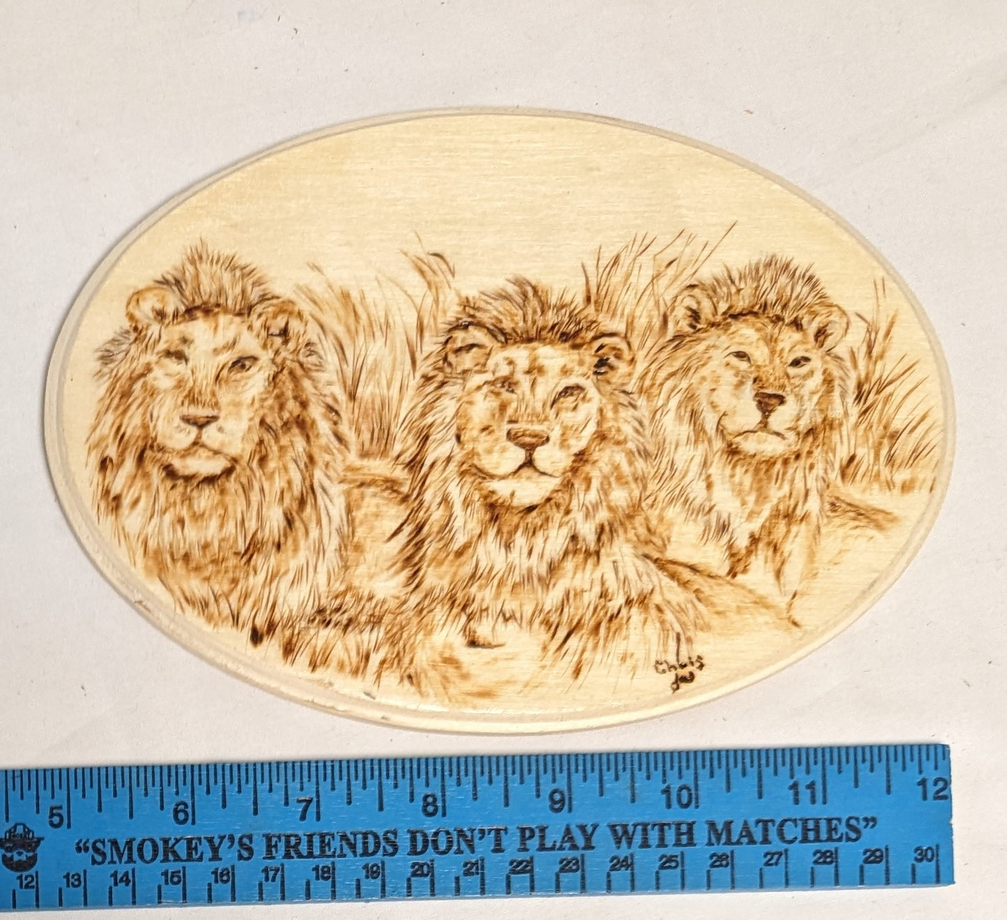 Art Hand Pyrography on wood " Lion Brothers" Autographed