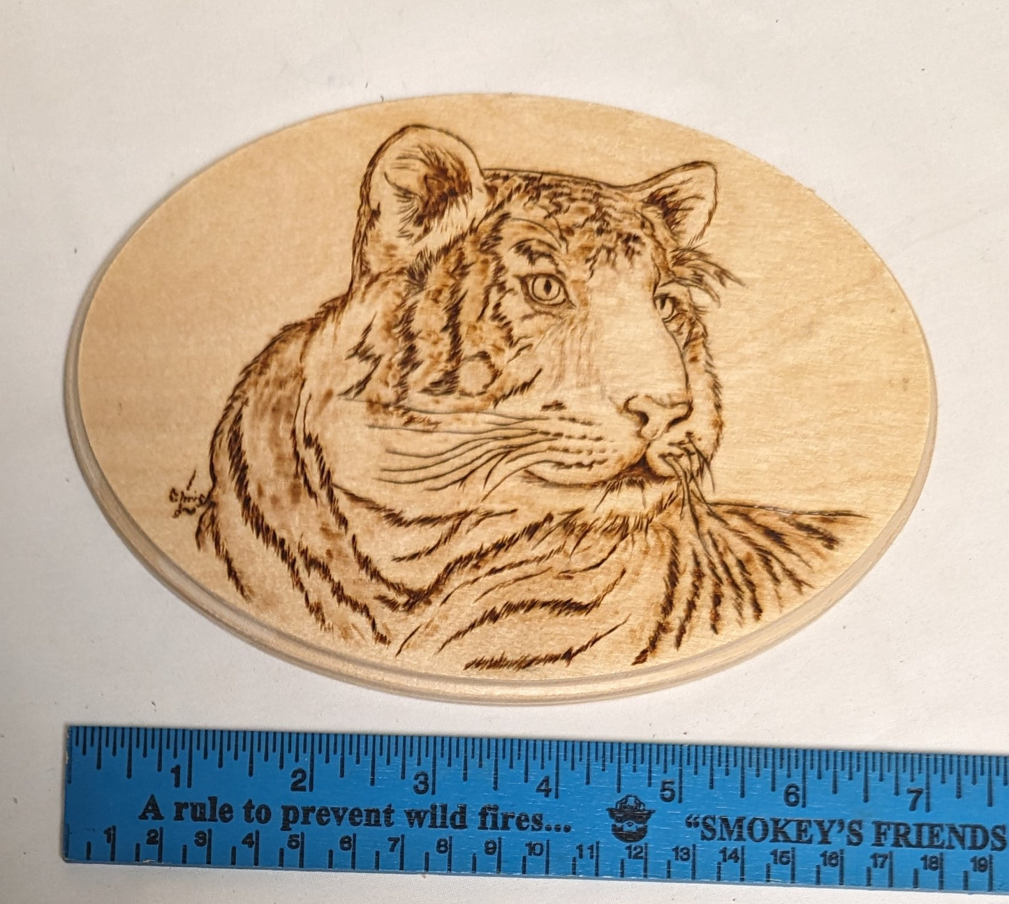 Art Hand Pyrography on wood " Tiger Face" Autographed
