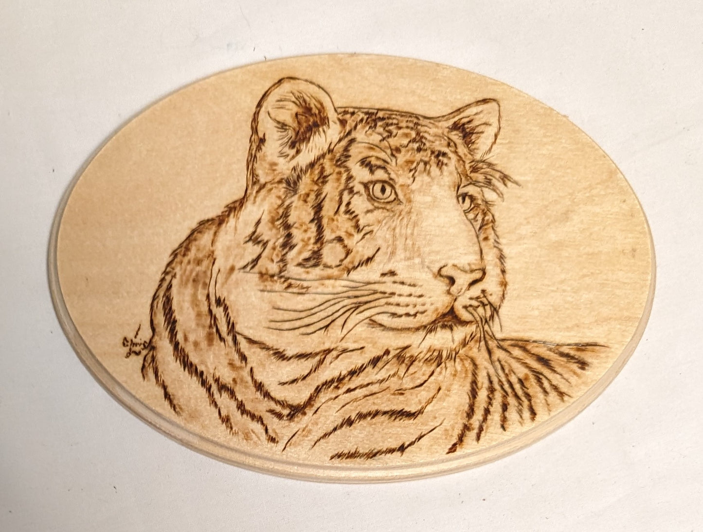 Art Hand Pyrography on wood " Tiger Face" Autographed