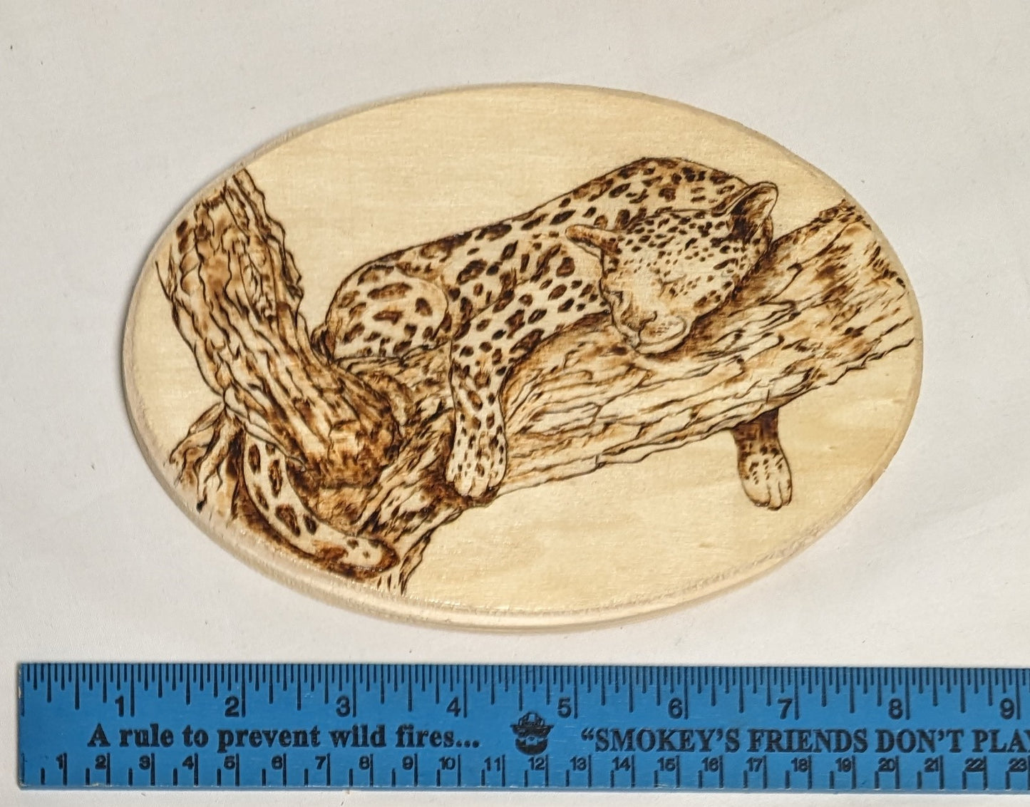Art Hand Pyrography on wood " Leopard Sleeping in Tree" Credited and Autographed