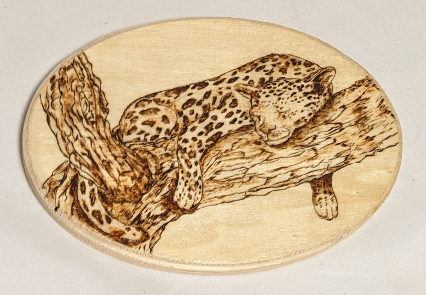 Art Hand Pyrography on wood " Leopard Sleeping in Tree" Credited and Autographed