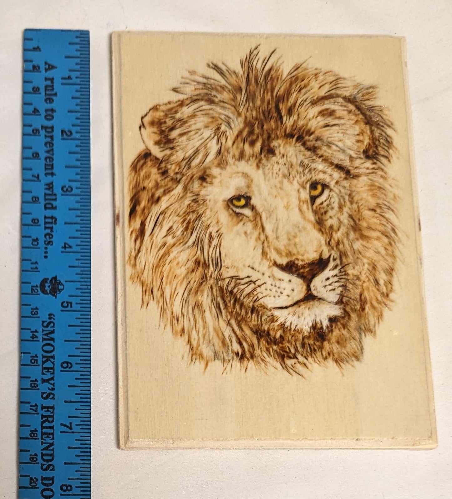 Art Hand Pyrography on wood " Lion Face: Autographed