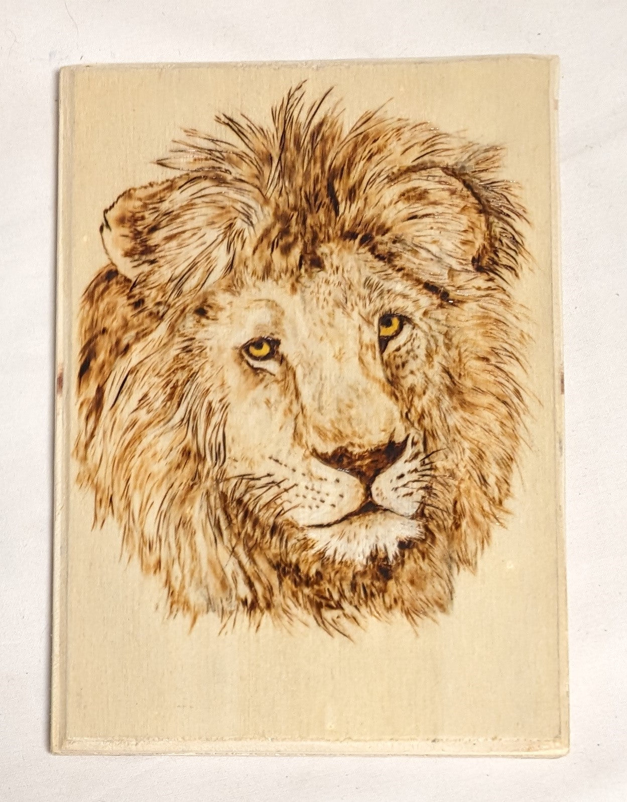 Art Hand Pyrography on wood " Lion Face: Autographed