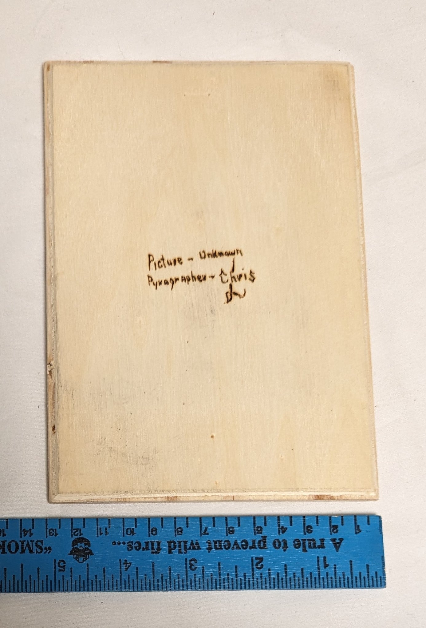 Art Hand Pyrography on wood " Lion Face: Autographed