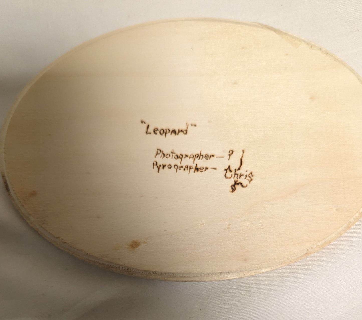 Art Hand Pyrography on Oval Wood " Leopard Face"