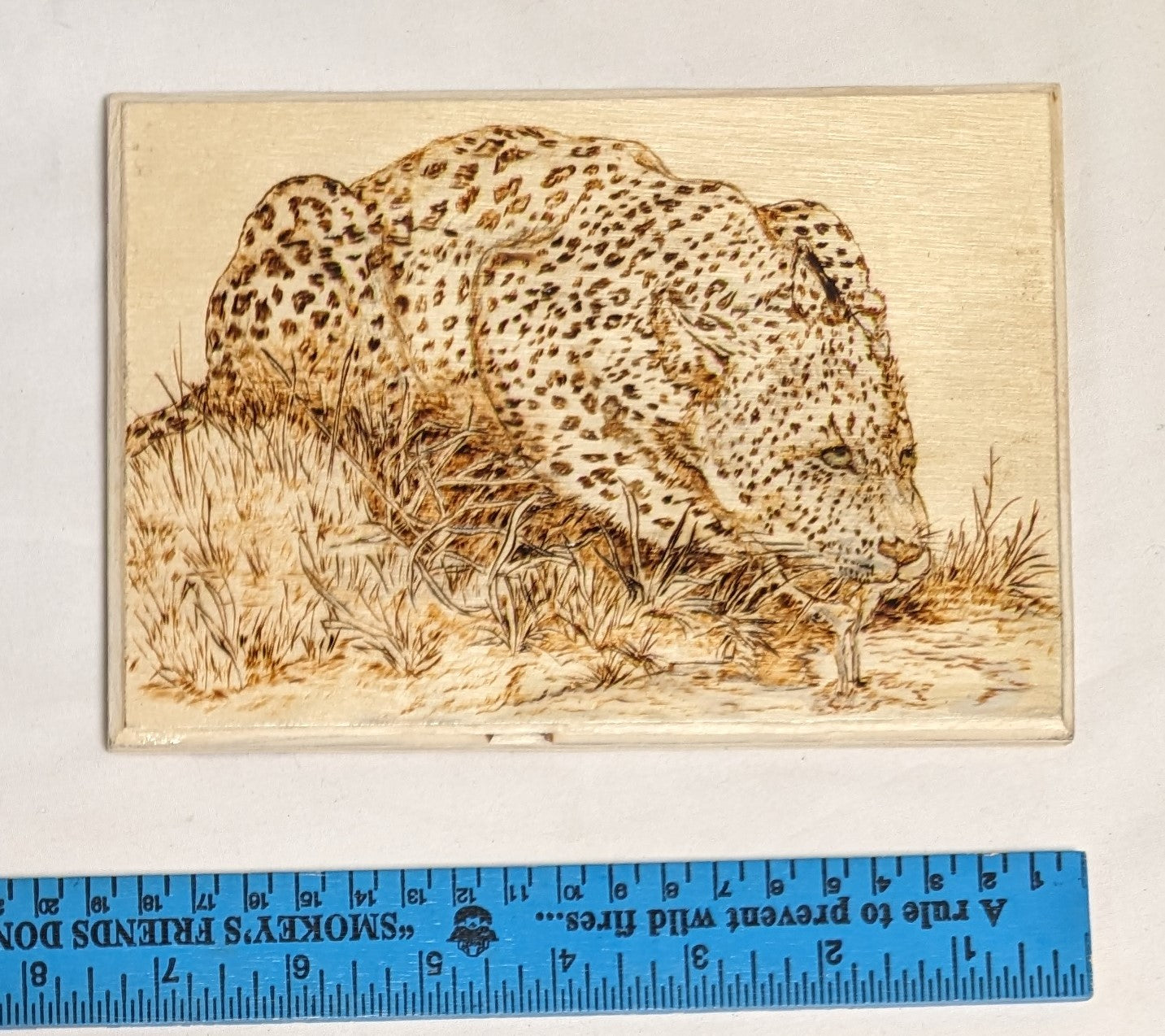 Art Hand Pyrography on Wood "Leopard Drinking" Credited and Autographed