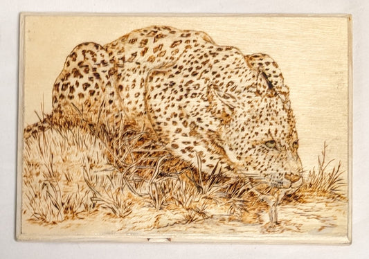 Art Hand Pyrography on Wood "Leopard Drinking" Credited and Autographed