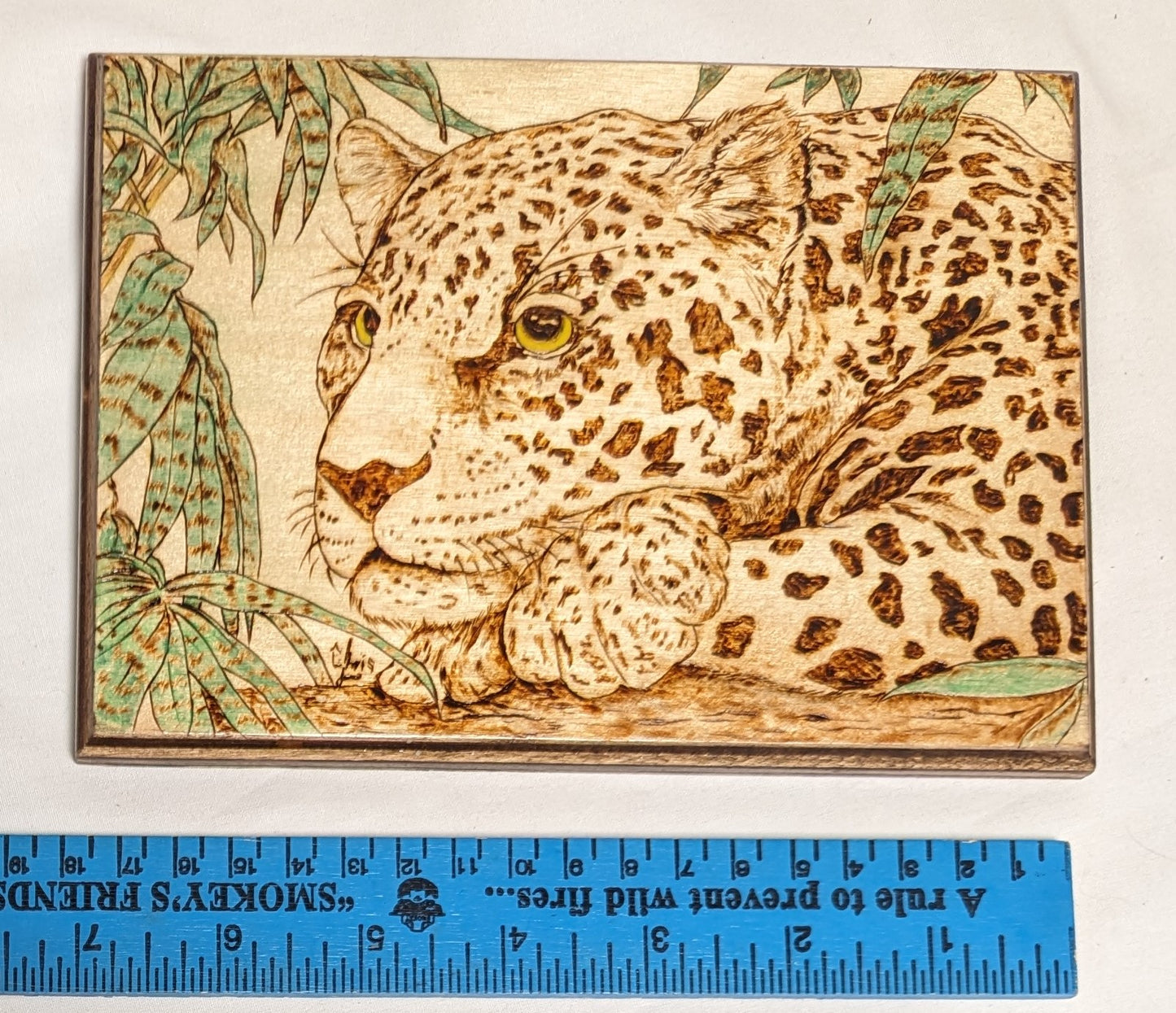 Art Hand Pyrography colored on wood  "Leopard Thoughts" Credited and Signed