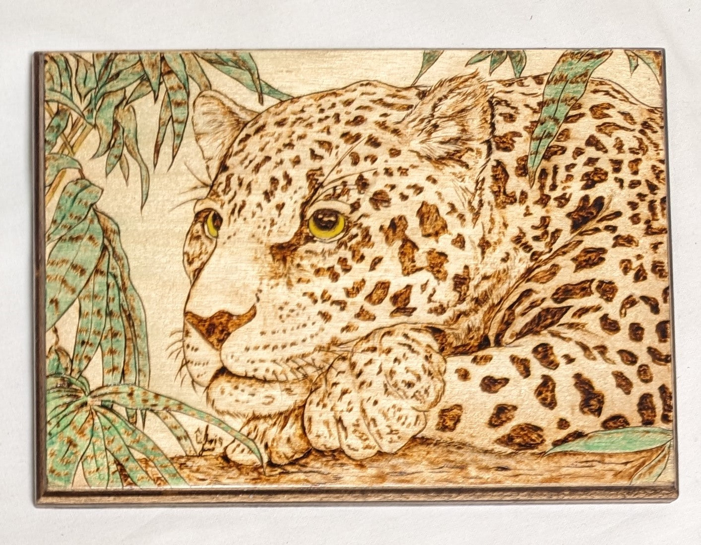 Art Hand Pyrography colored on wood  "Leopard Thoughts" Credited and Signed