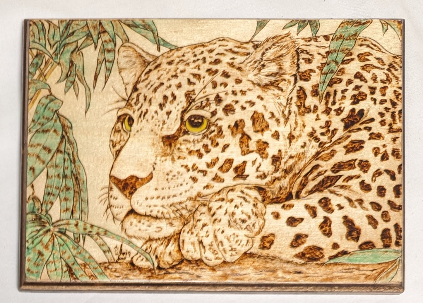 Art Hand Pyrography colored on wood  "Leopard Thoughts" Credited and Signed