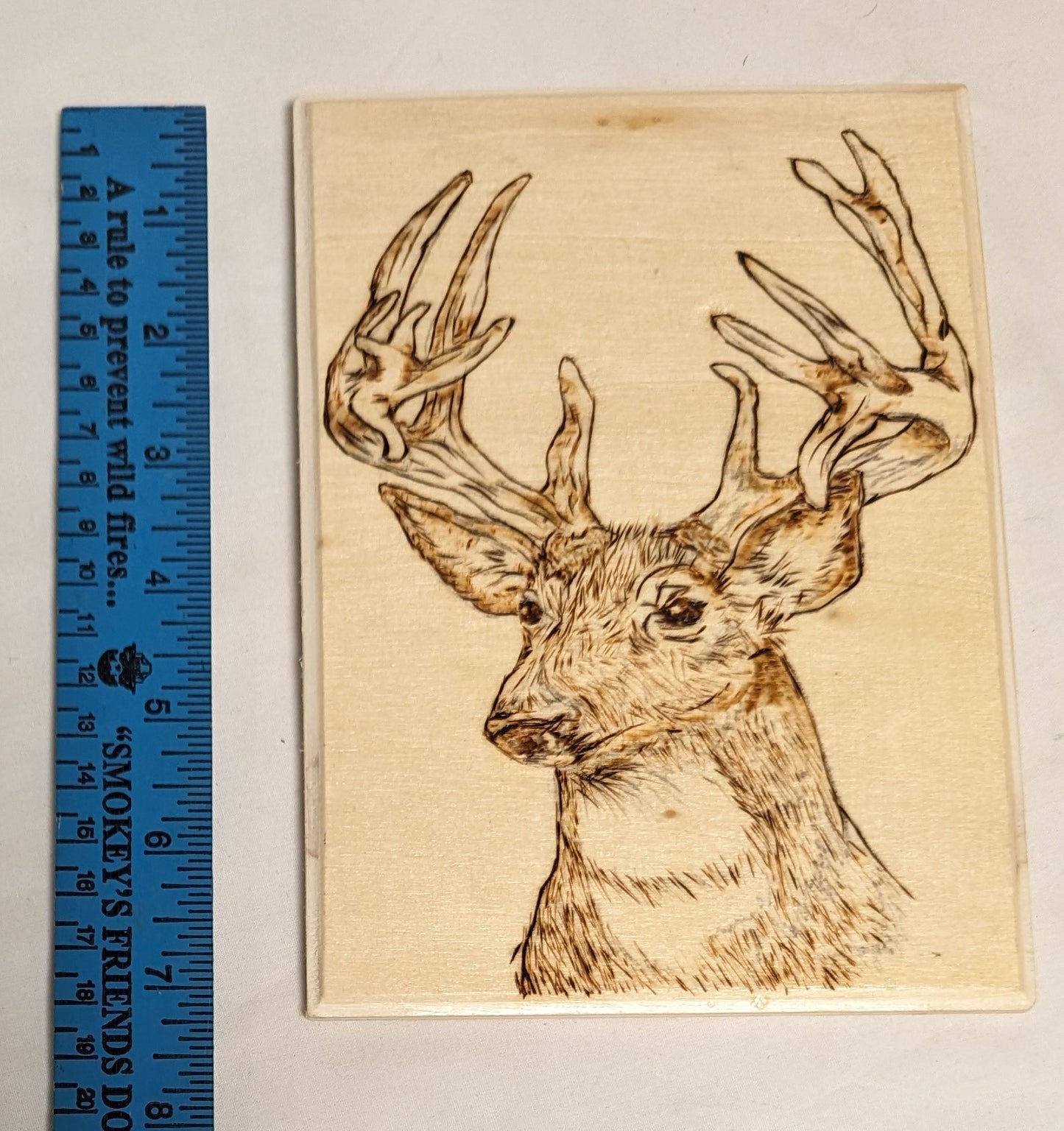 Art Hand Pyrography on wood " Buck Head' Credited and signed
