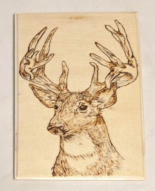Art Hand Pyrography on wood " Buck Head' Credited and signed