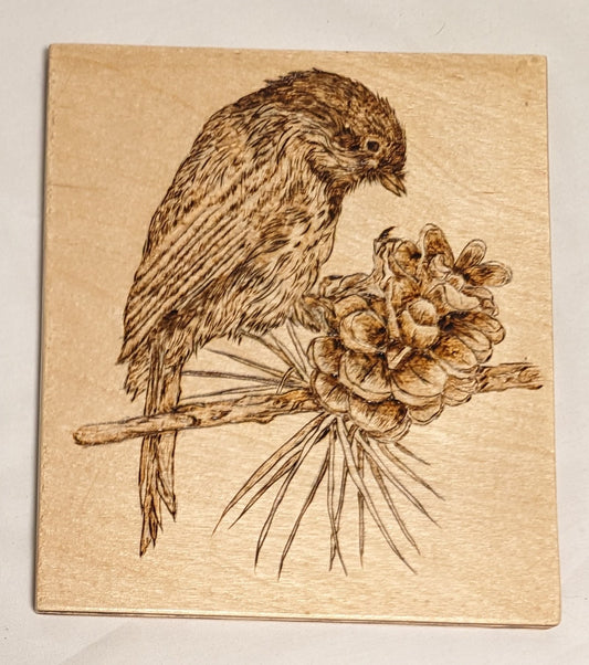 Art Handmade Pyrography on wood " Bird and Pine Cone" Signed