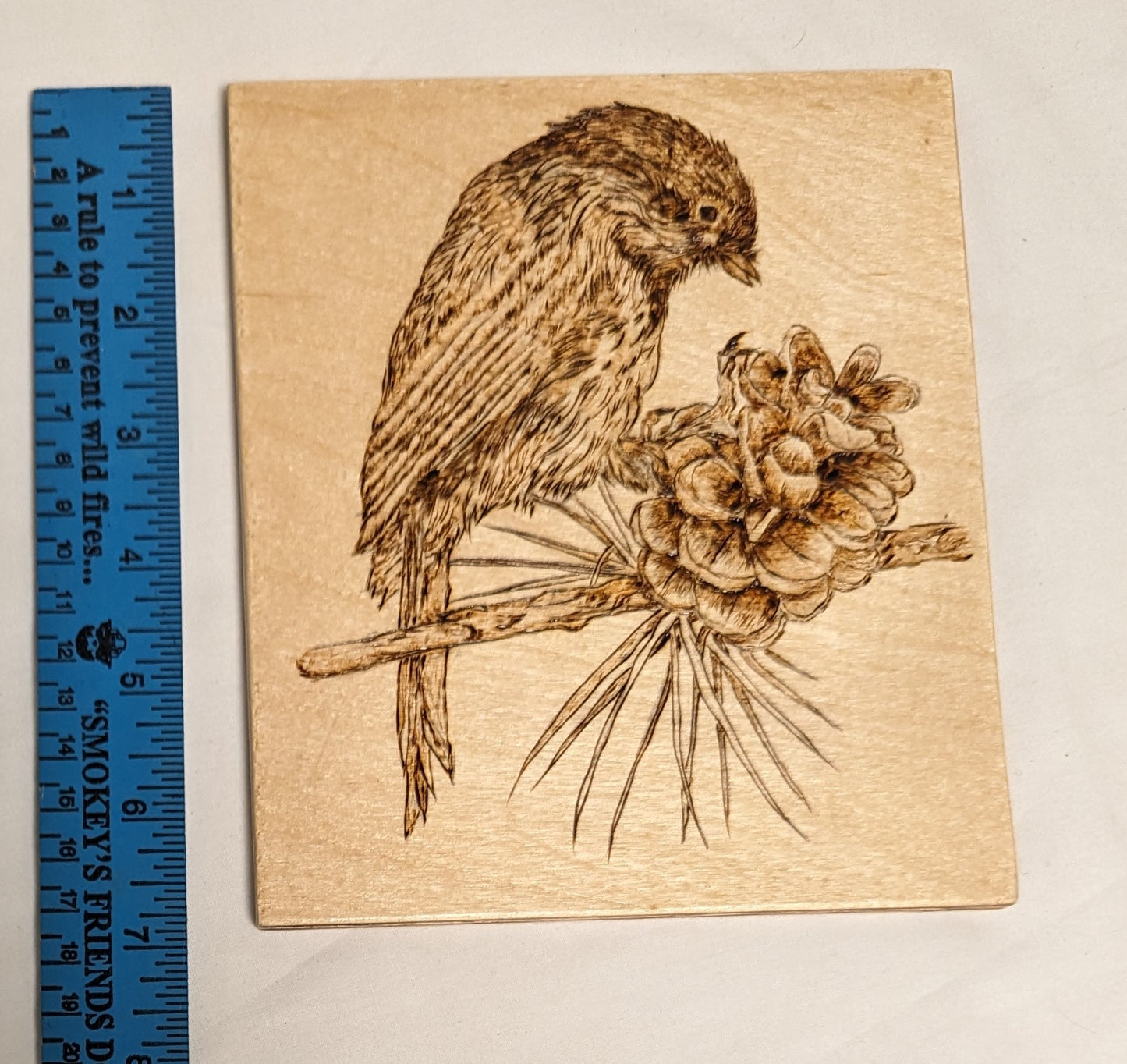 Art Handmade Pyrography on wood " Bird and Pine Cone" Signed