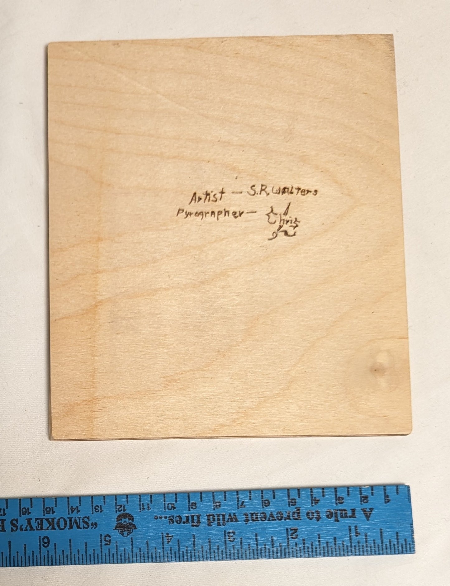 Art Handmade Pyrography on wood " Bird and Pine Cone" Signed