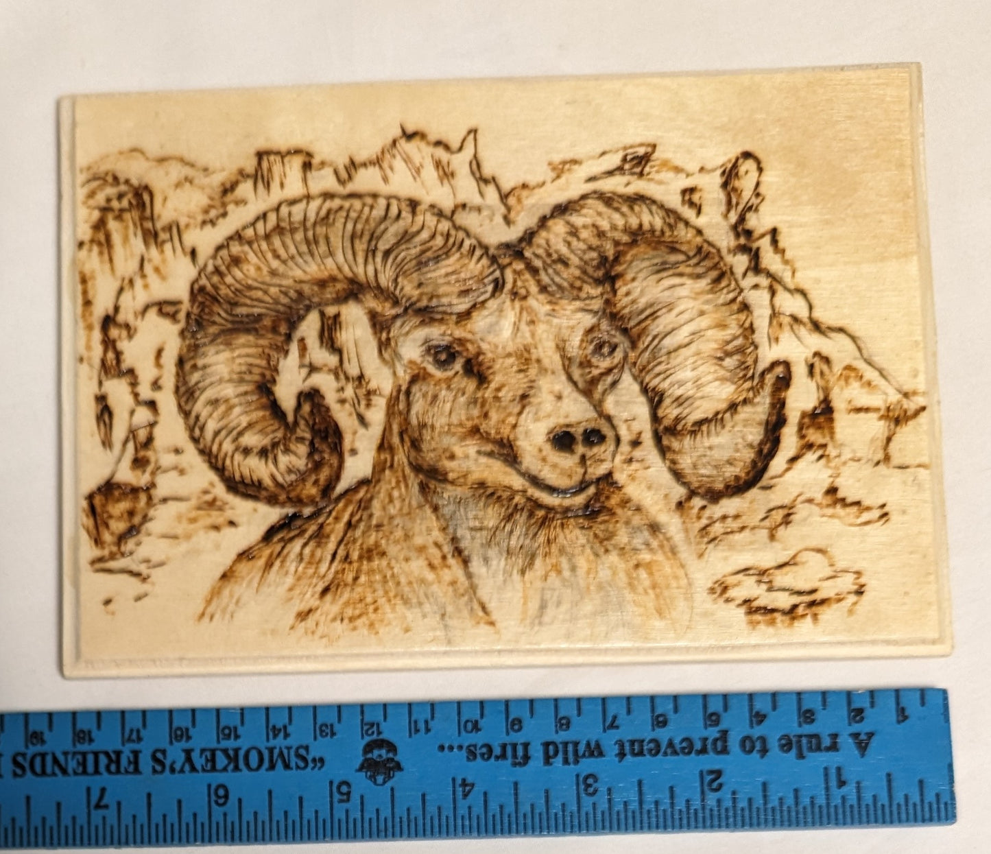 Art Handmade Pyrography on wood " Big Horned Sheep" Signed
