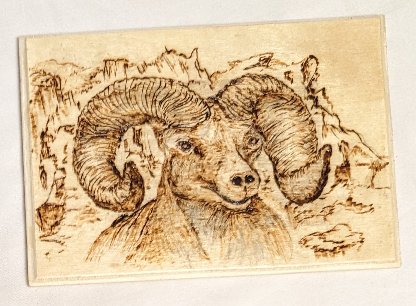Art Handmade Pyrography on wood " Big Horned Sheep" Signed