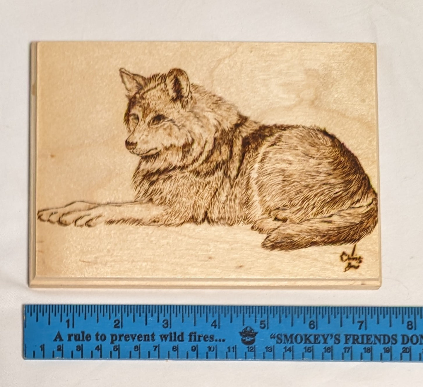 Art Handmade Pyrography " Wolf Resting" Credited and signed