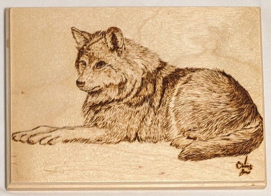Art Handmade Pyrography " Wolf Resting" Credited and signed