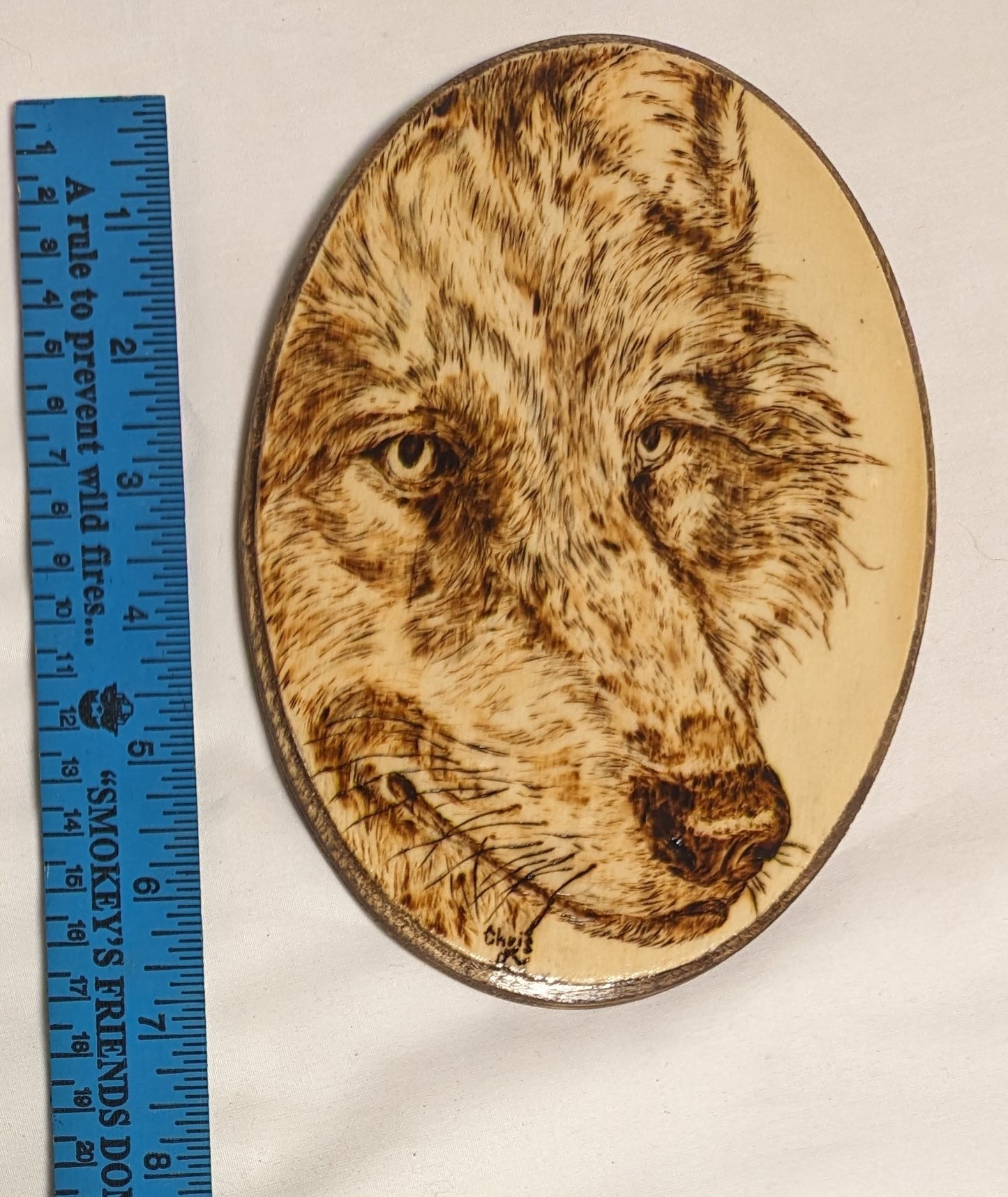 Art Handmade on Oval Wood " Gray Wolf Face" Credited and signed